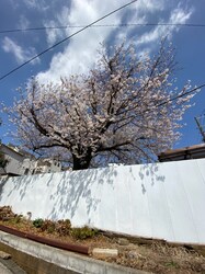 プランドール横浜の物件内観写真